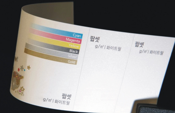 팝셋(펄지)